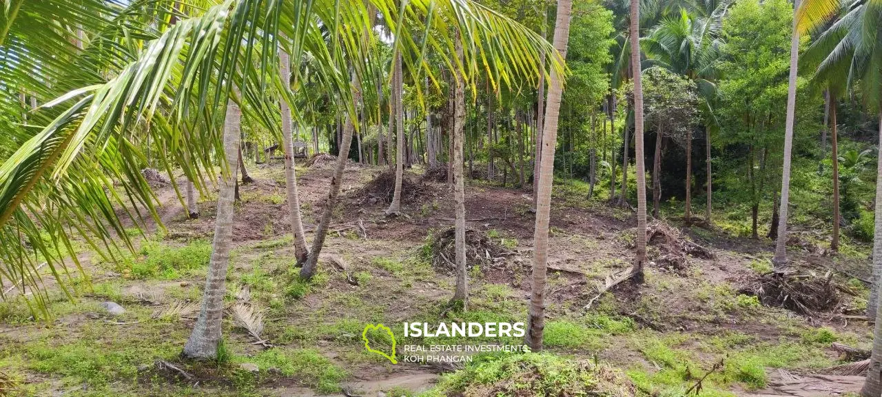 Terrain plat en bordure de Middle Road