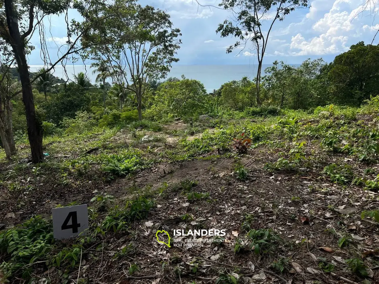 L'élégance de la nature : Terrain 4 à Haad Yao