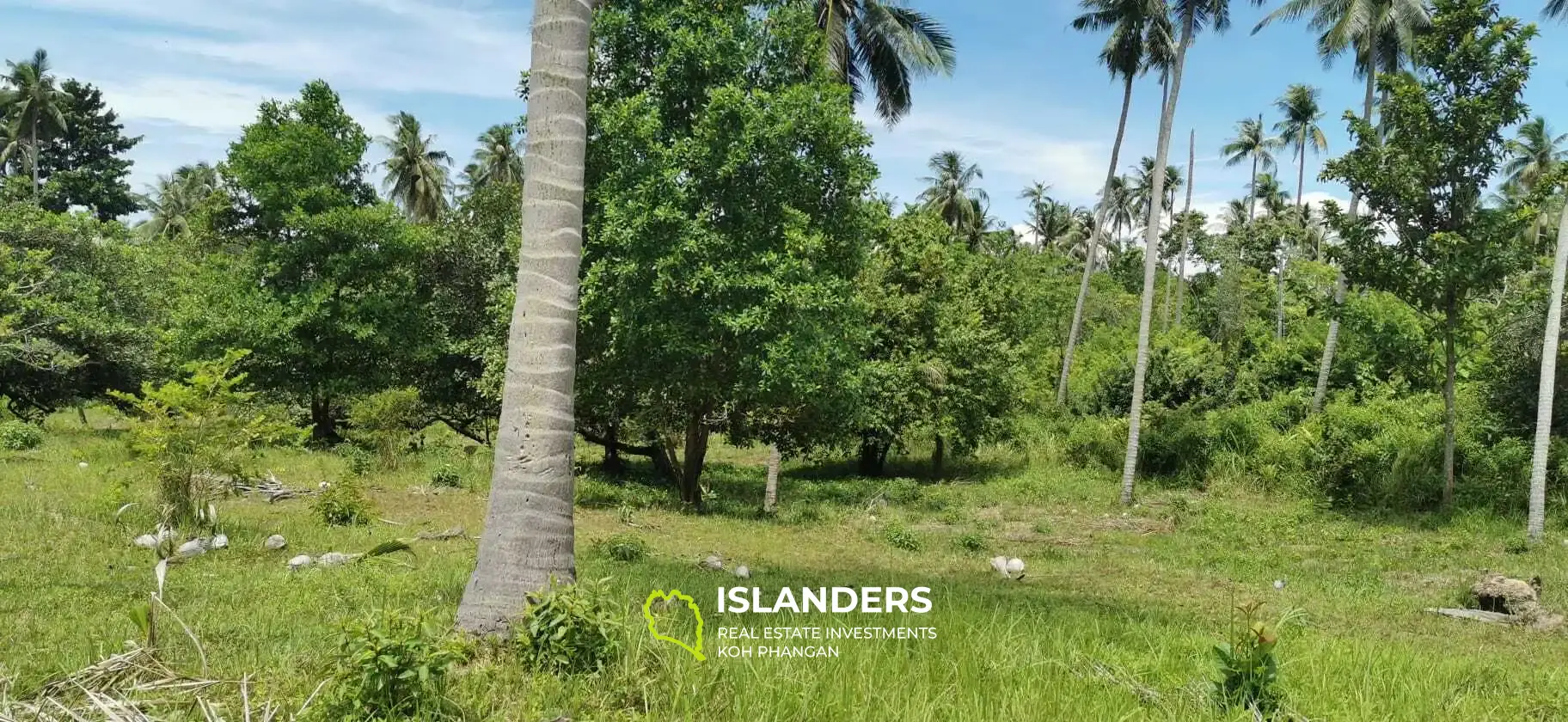 Terrain plat à Chalok Baan Kao près de Hinkong (parcelle 10)