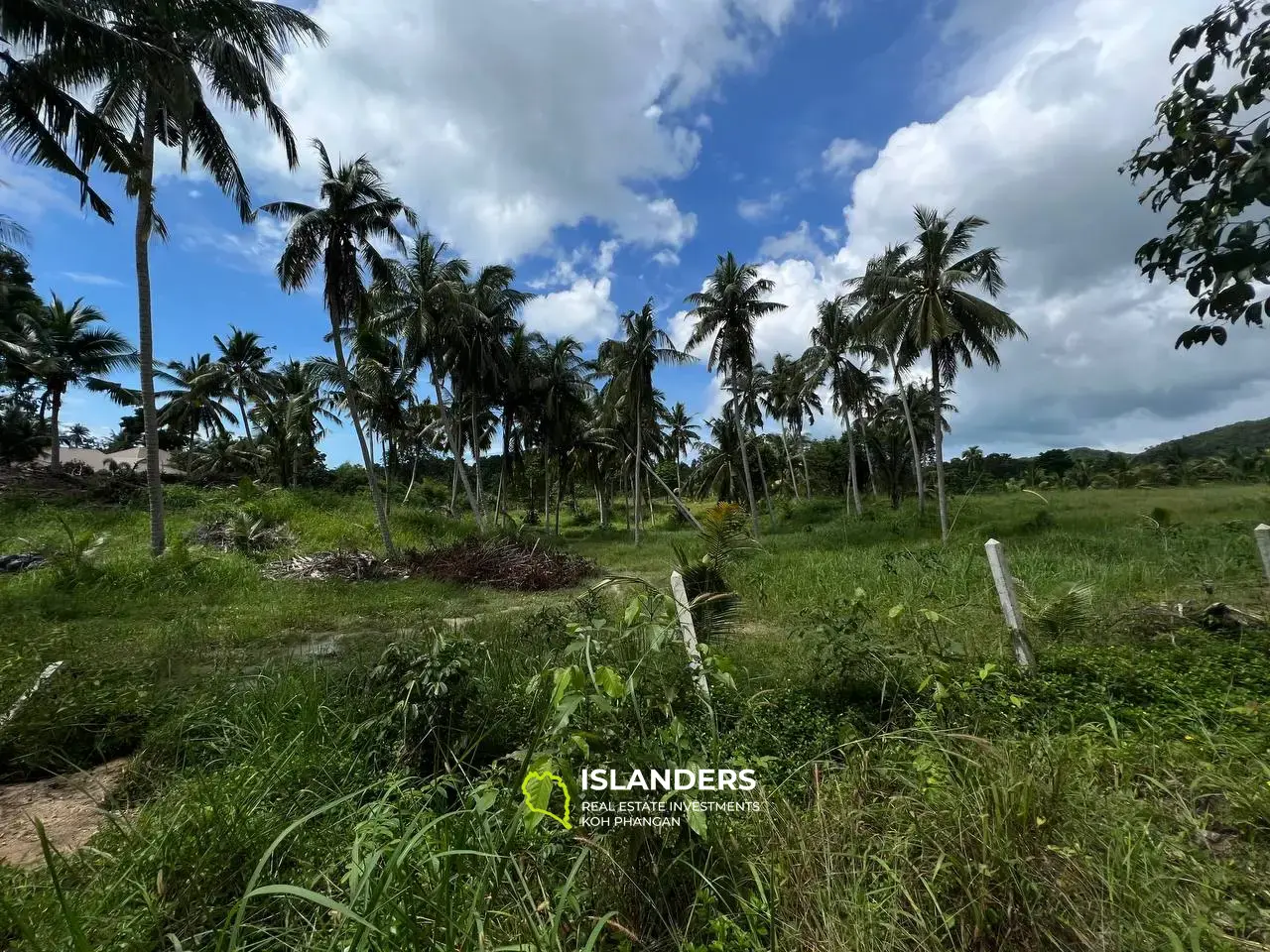 Peaceful Retreat in Chalok Baan Kao