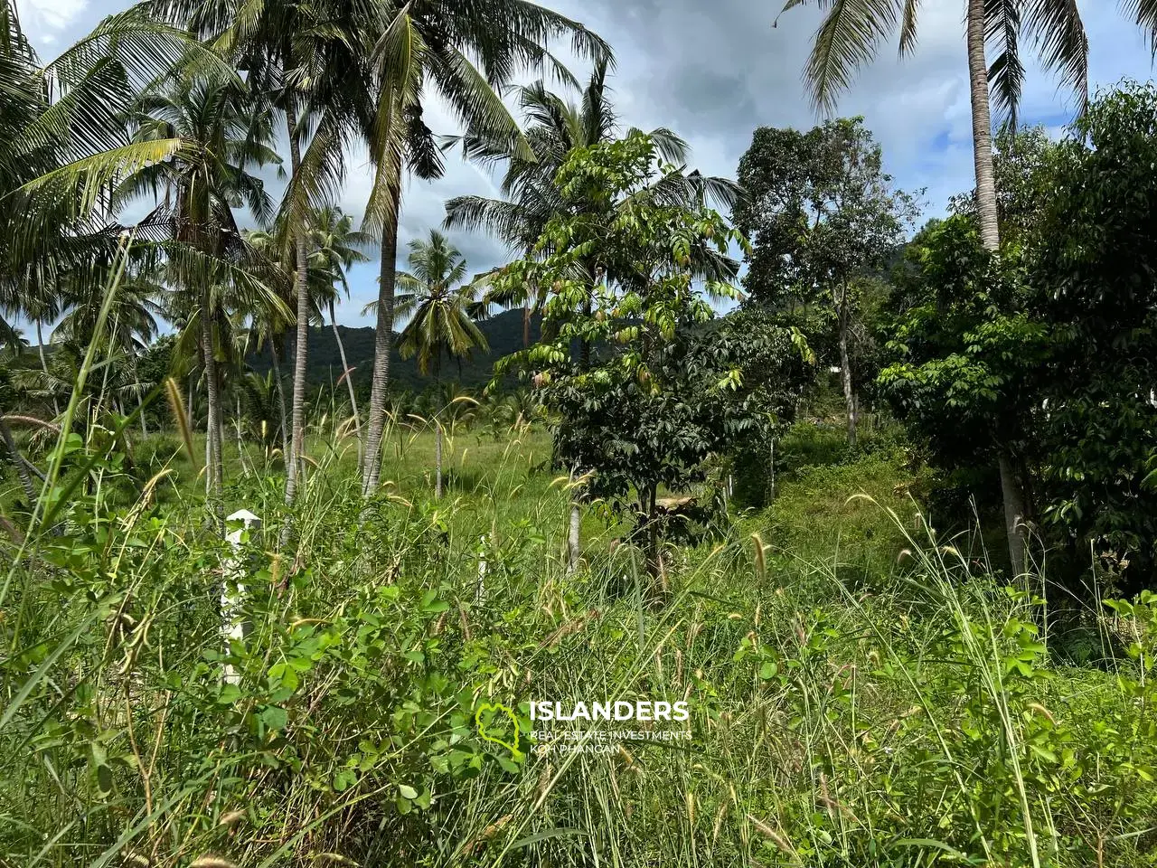 Peaceful Retreat in Chalok Baan Kao