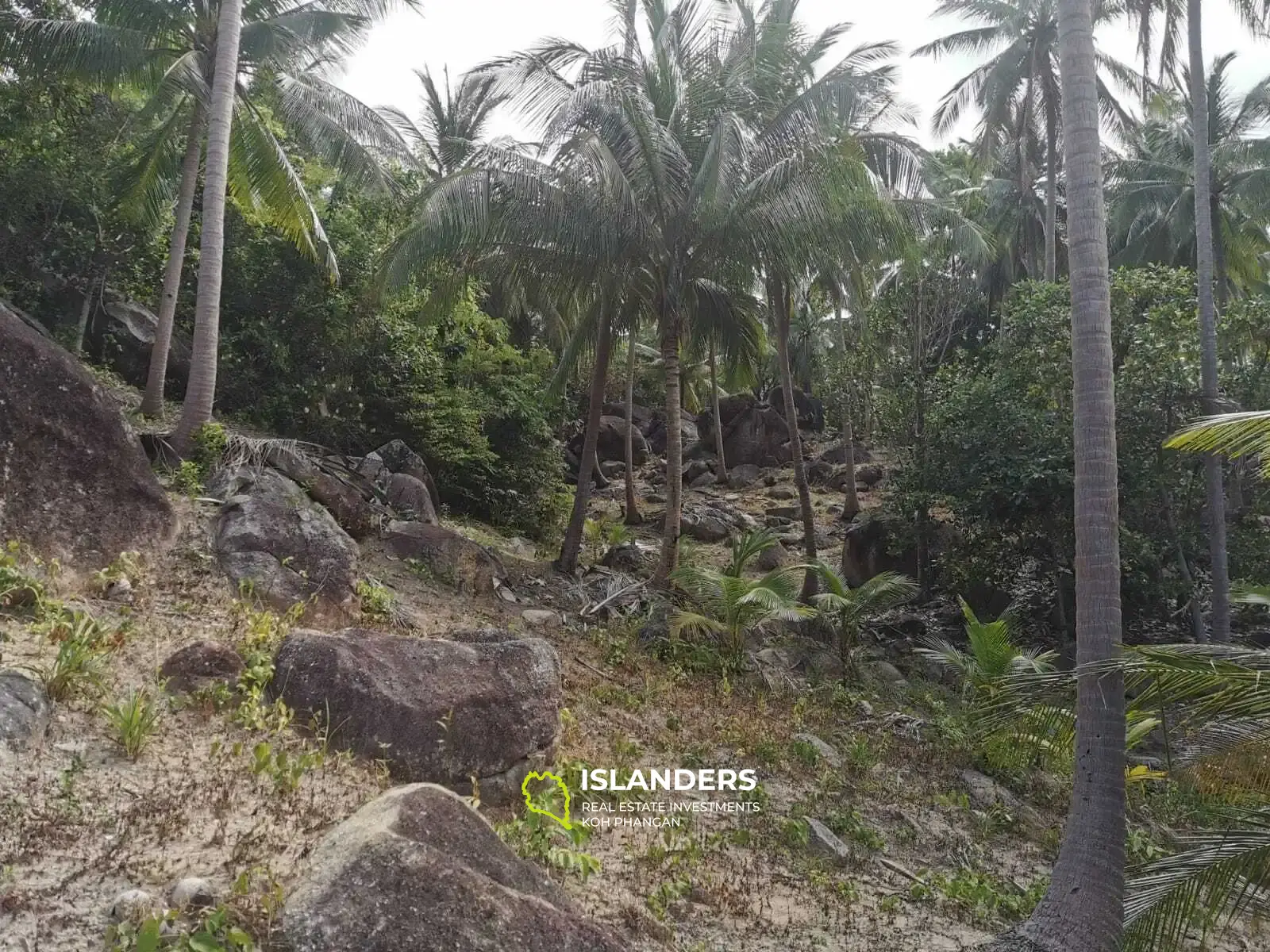 Secluded Sea View Plots near Fisherman Village