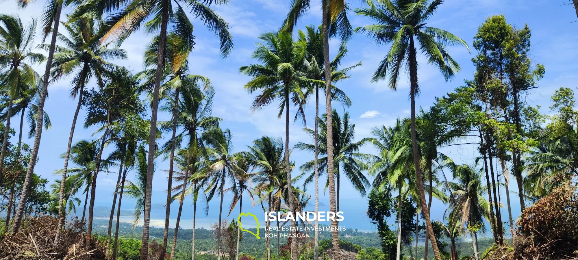 360° Haad Yao atemberaubendes Grundstück mit Meerblick. Das beste Land auf Koh Phangan.