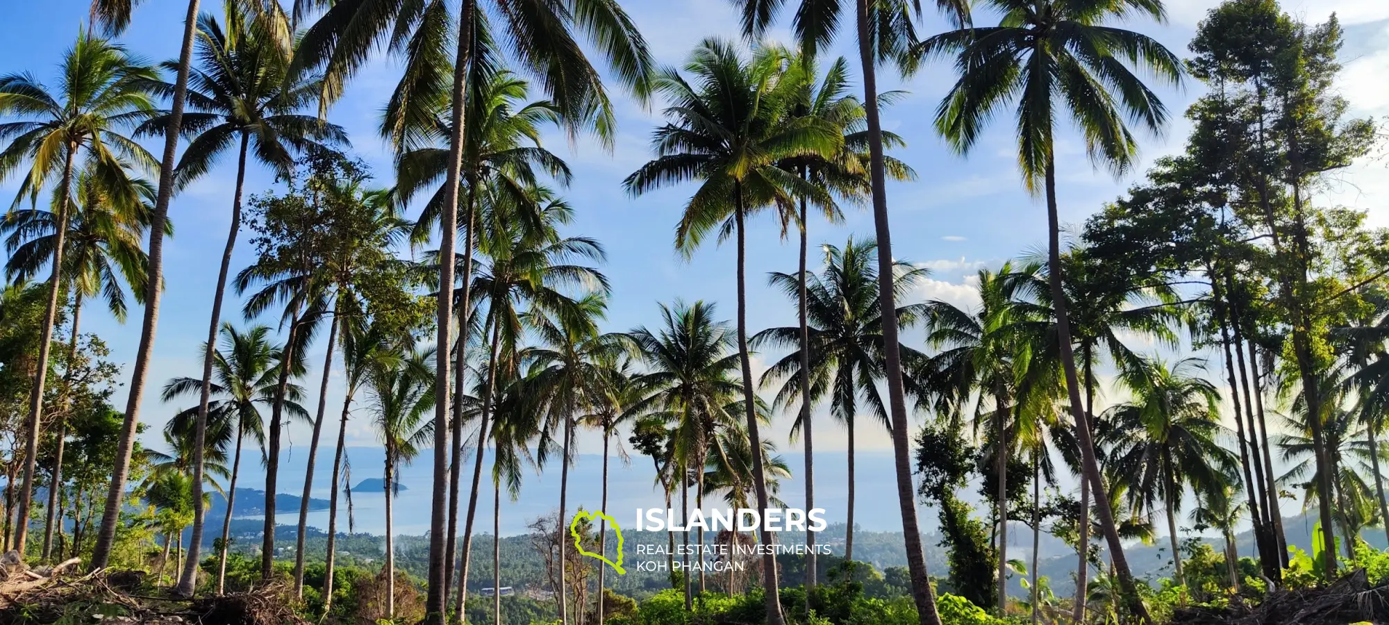 หาดยาว 360° ที่ดินวิวทะเลสวยงาม ที่ดินที่ดีที่สุดบนเกาะพะงัน