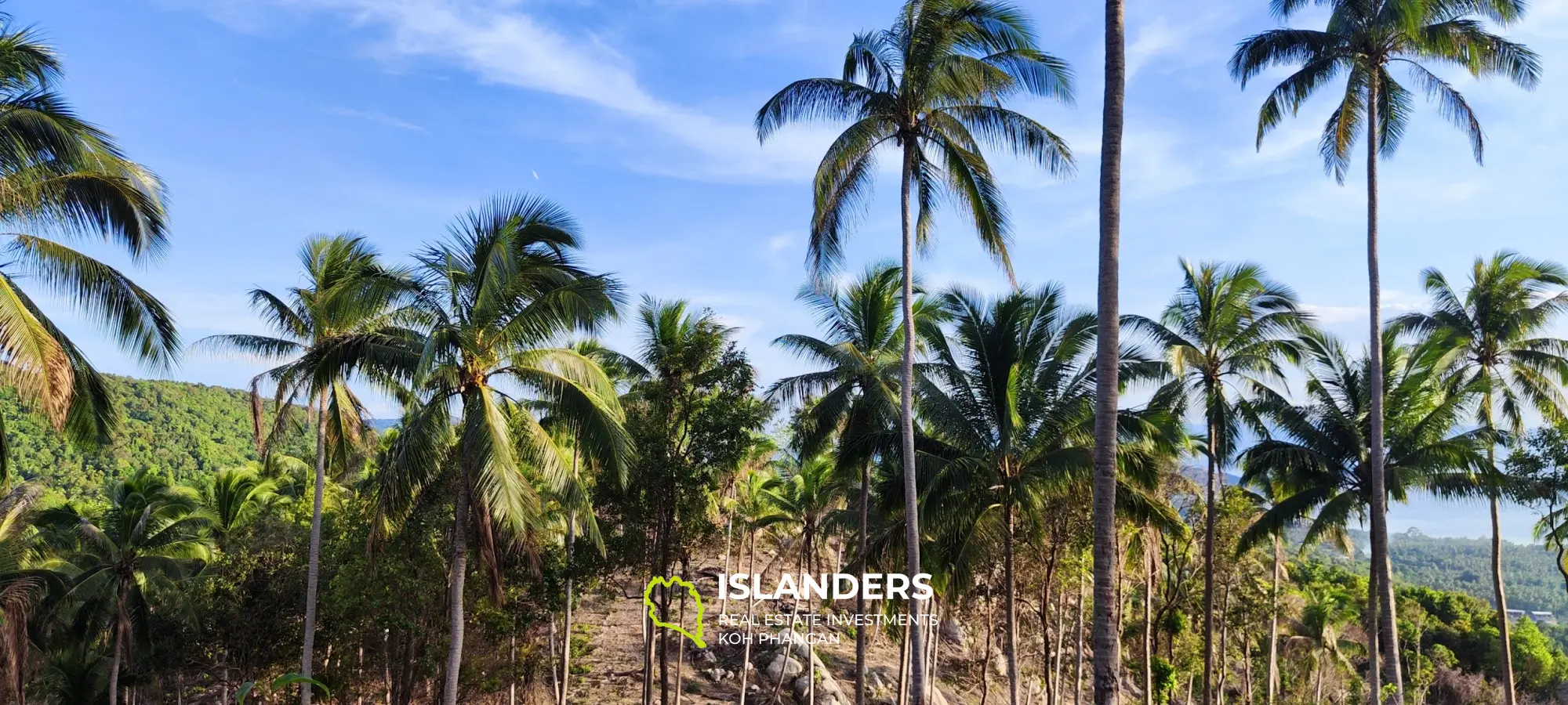 360° Haad Yao superbe terrain avec vue sur la mer. Le meilleur terrain de Koh Phangan.