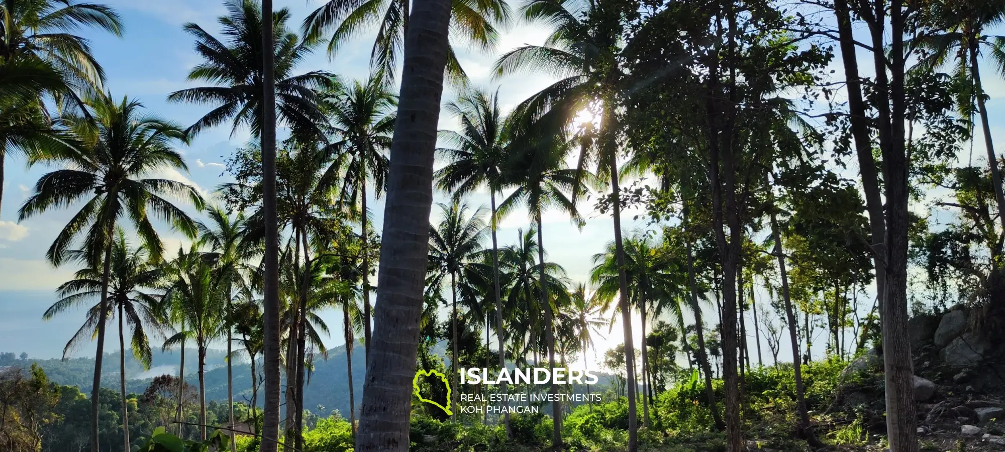 360° Haad Yao atemberaubendes Grundstück mit Meerblick. Das beste Land auf Koh Phangan.