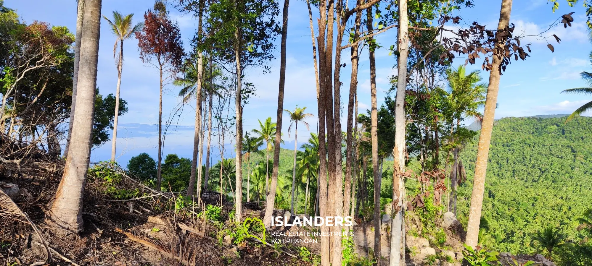 Vue imprenable sur la mer et la jungle au sommet des collines de Haad Yao