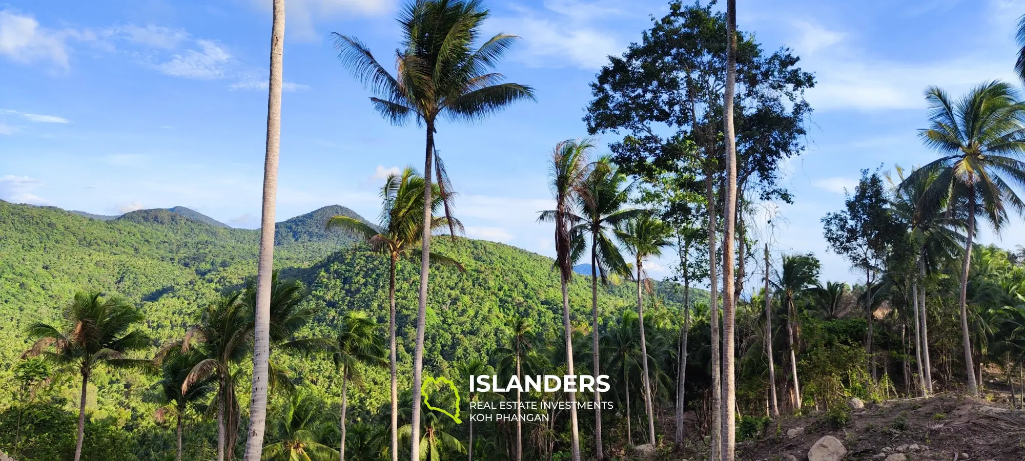 Vue imprenable sur la mer et la jungle au sommet des collines de Haad Yao