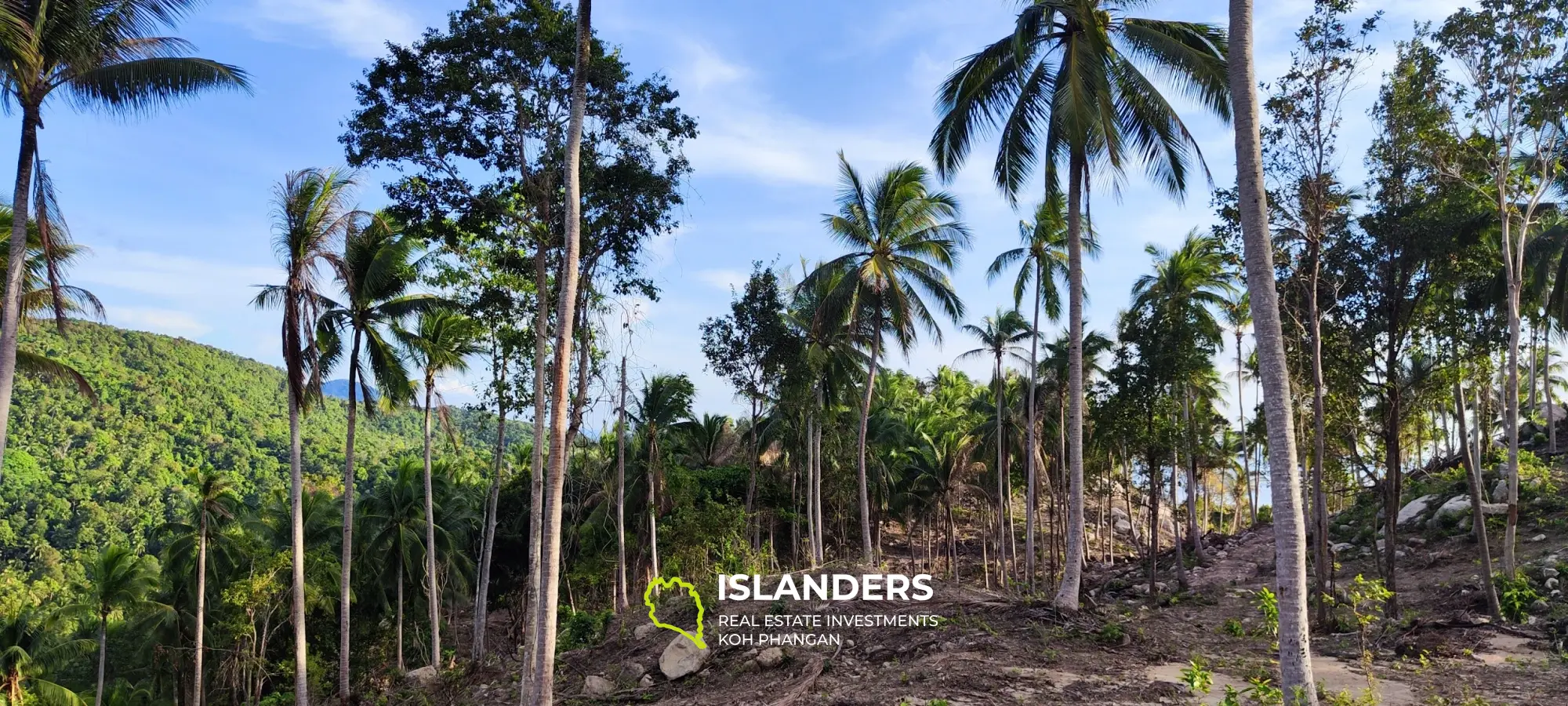 Vue imprenable sur la mer et la jungle au sommet des collines de Haad Yao