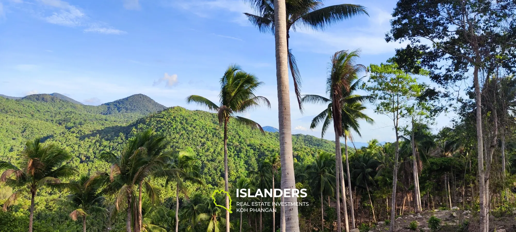 Vue imprenable sur la mer et la jungle au sommet des collines de Haad Yao