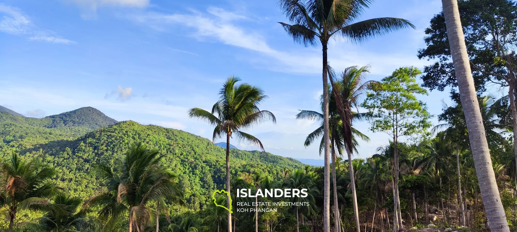 Vue imprenable sur la mer et la jungle au sommet des collines de Haad Yao