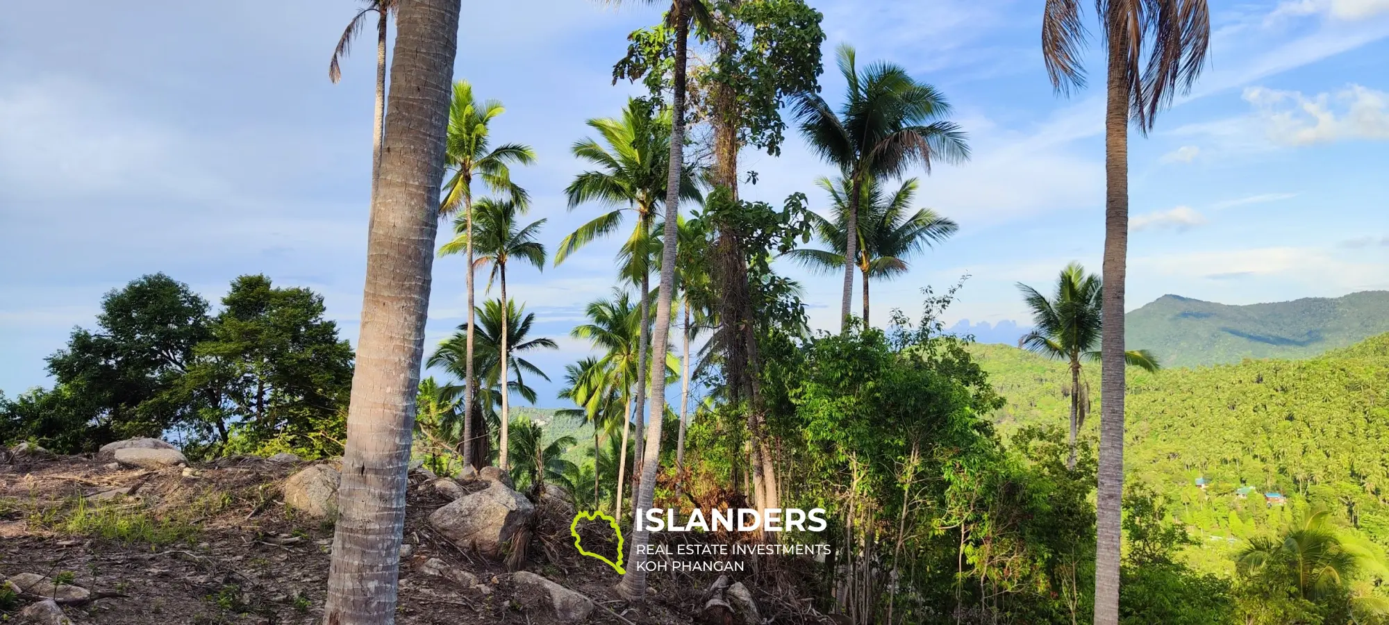 Vue imprenable sur la mer et la jungle au sommet des collines de Haad Yao