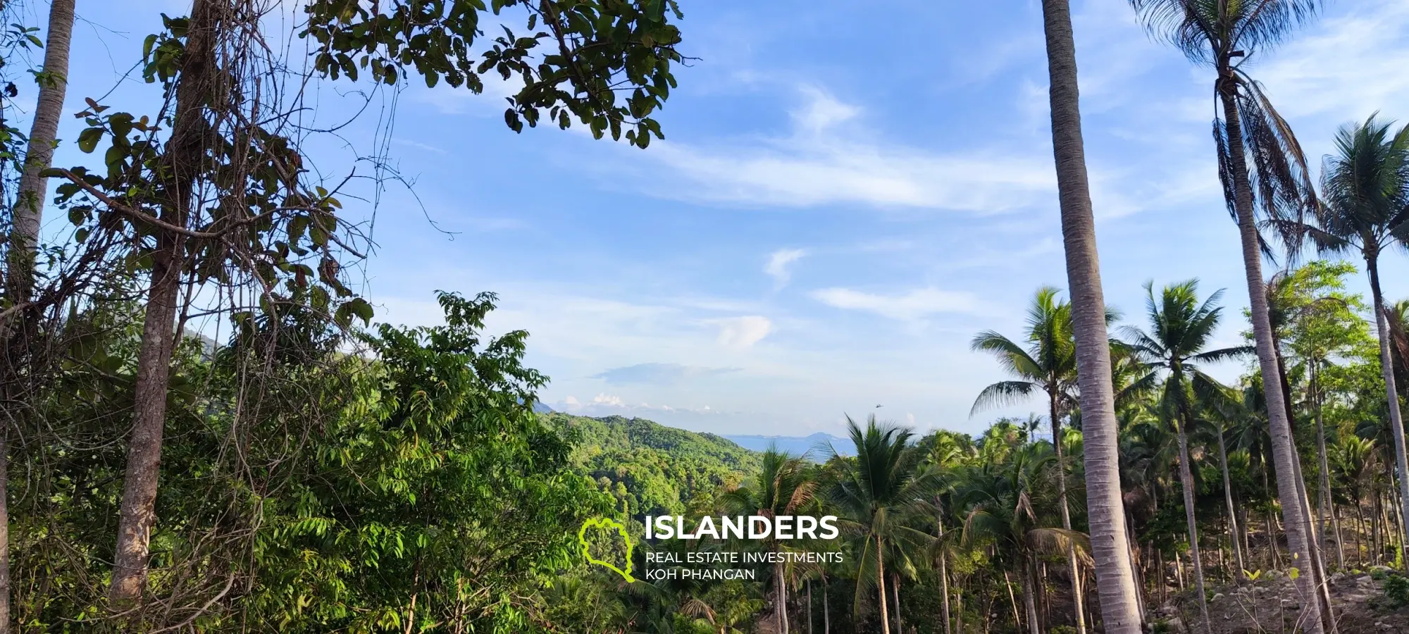 Vue imprenable sur la mer et la jungle au sommet des collines de Haad Yao