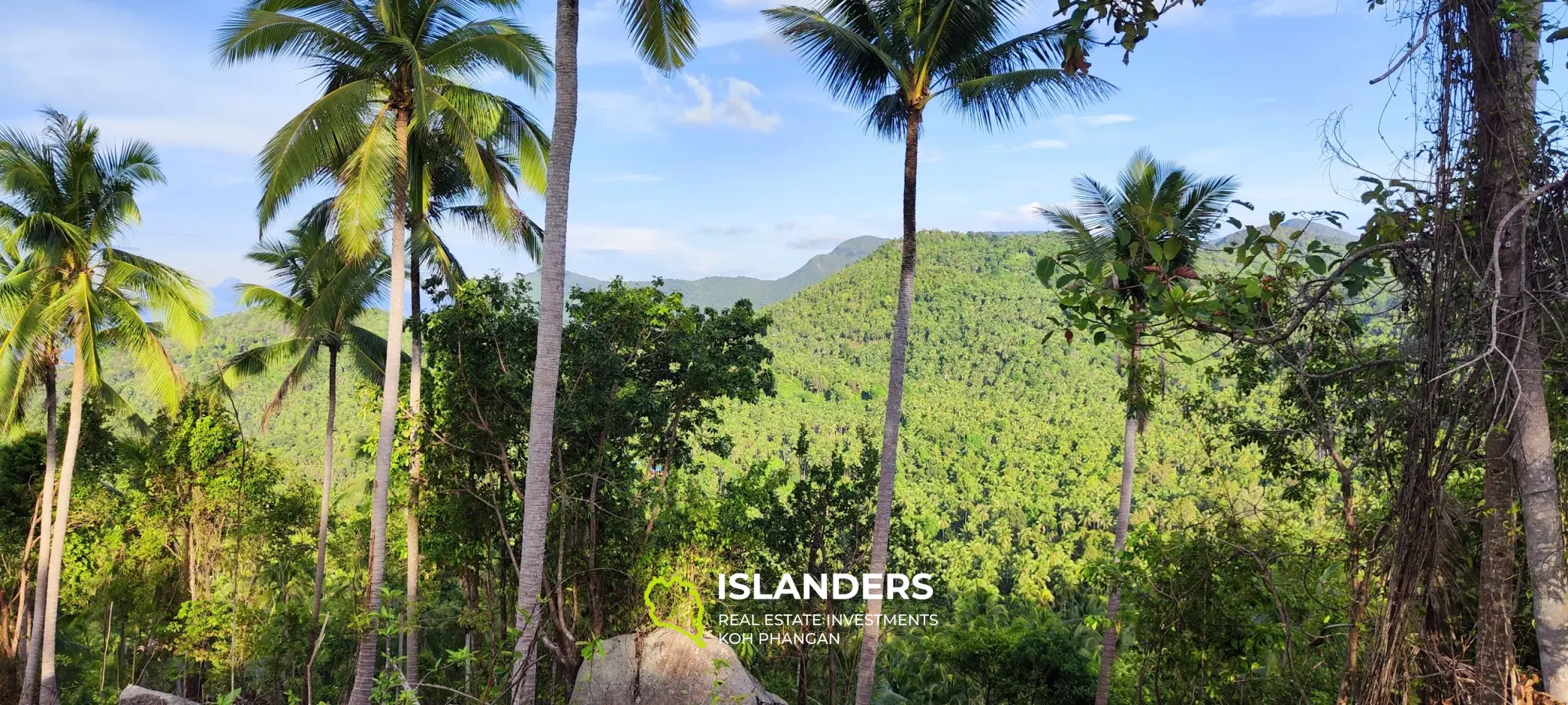 Vue imprenable sur la mer et la jungle au sommet des collines de Haad Yao