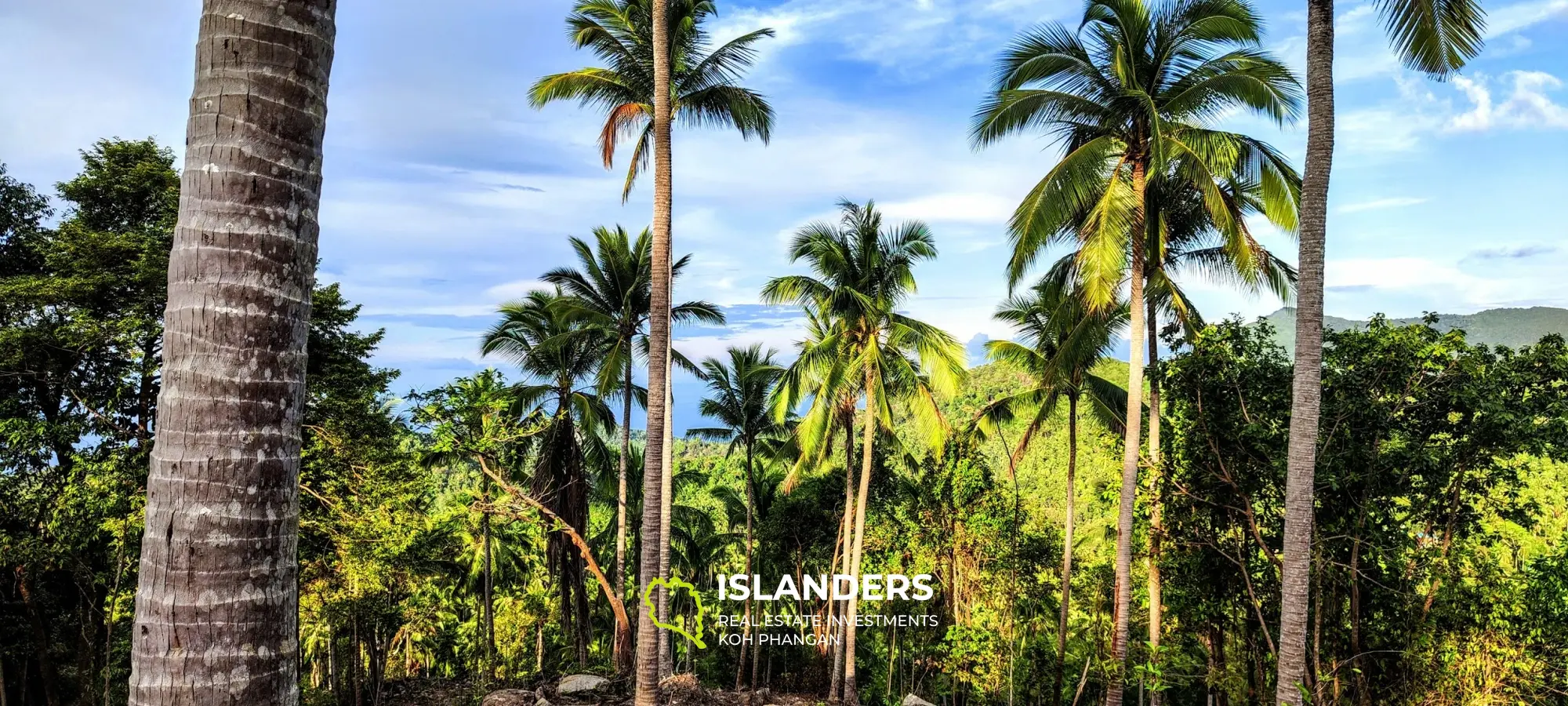 Vue imprenable sur la mer et la jungle au sommet des collines de Haad Yao