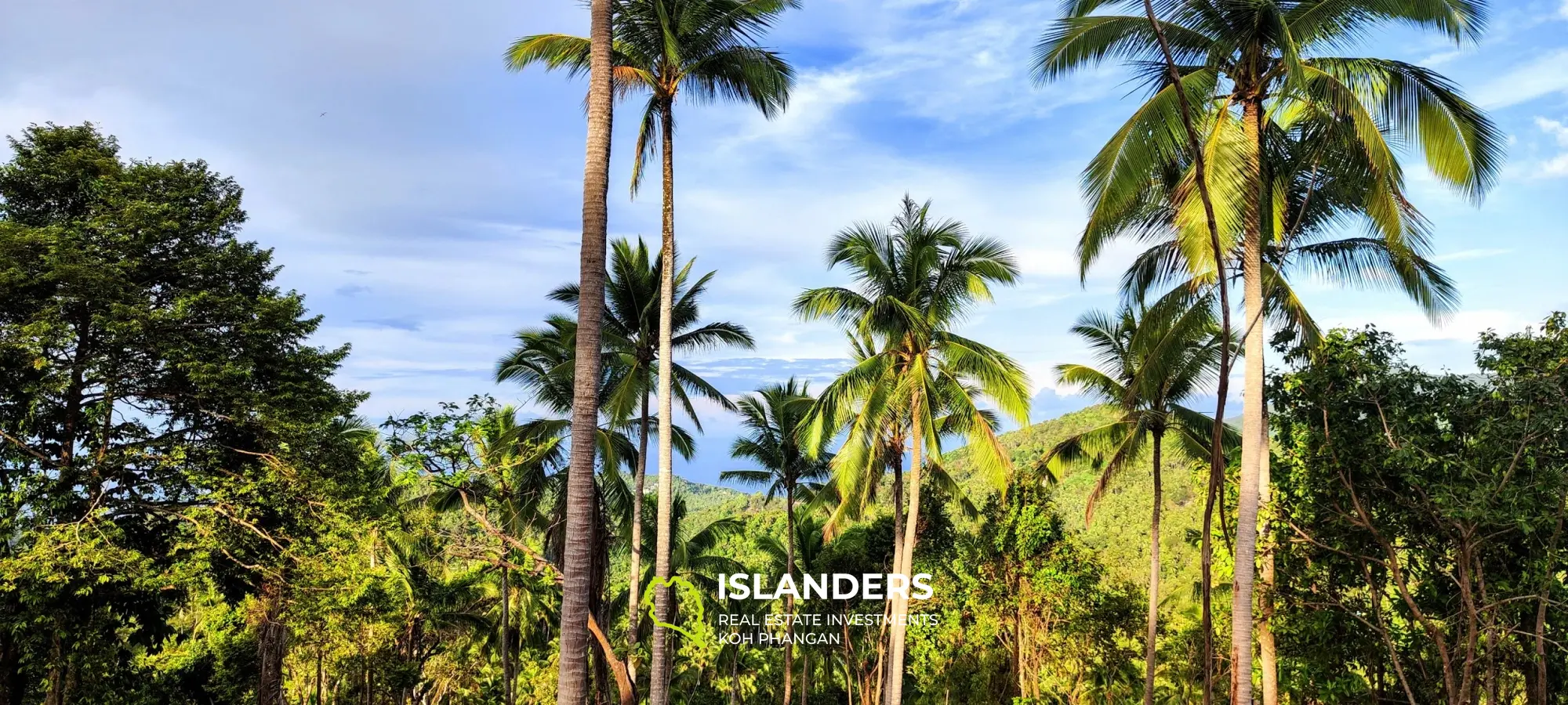 Vue imprenable sur la mer et la jungle au sommet des collines de Haad Yao