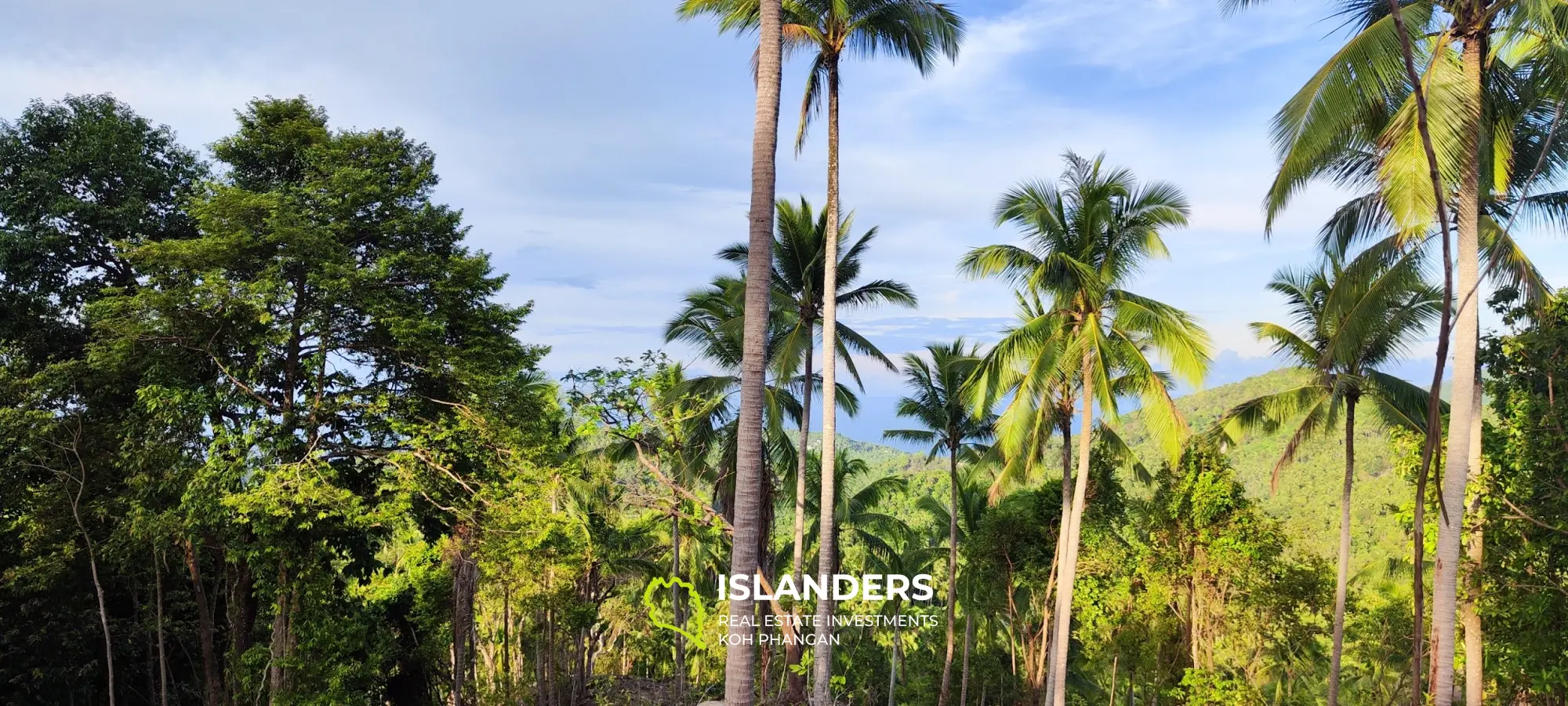 Vue imprenable sur la mer et la jungle au sommet des collines de Haad Yao