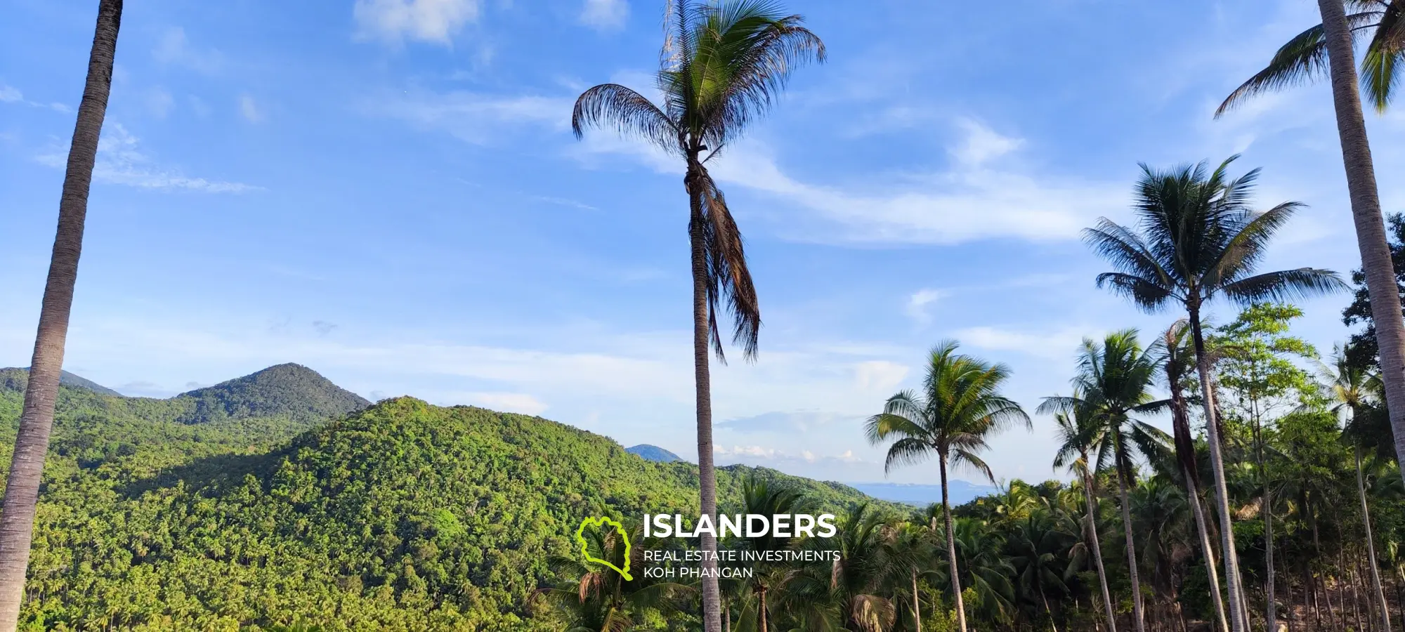 Vue imprenable sur la mer et la jungle au sommet des collines de Haad Yao