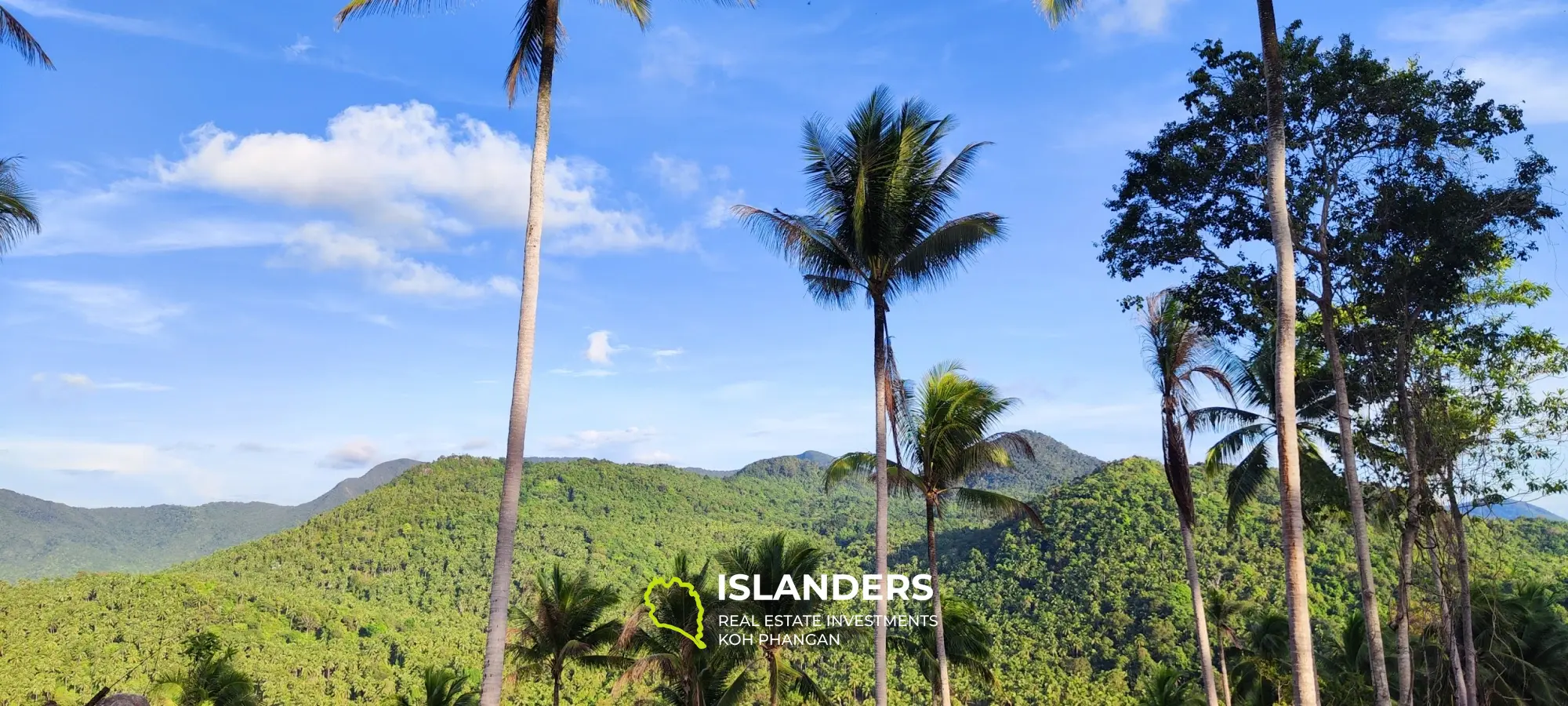 Vue imprenable sur la mer et la jungle au sommet des collines de Haad Yao