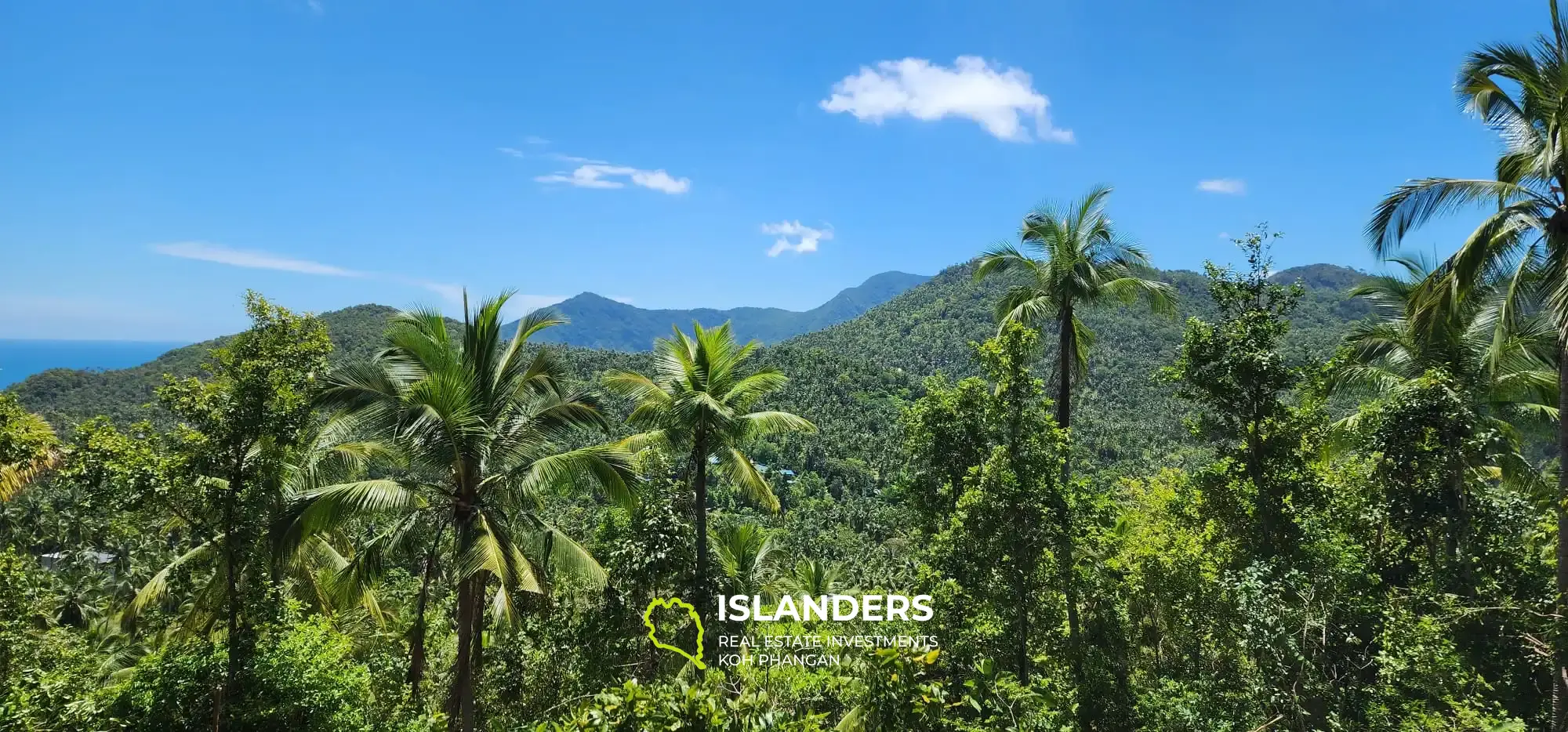 Vue imprenable sur la mer et la jungle au sommet des collines de Haad Yao