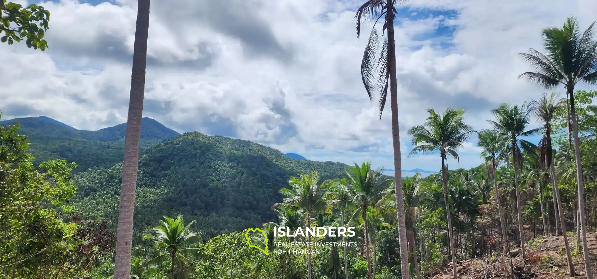 Vue imprenable sur la mer et la jungle au sommet des collines de Haad Yao