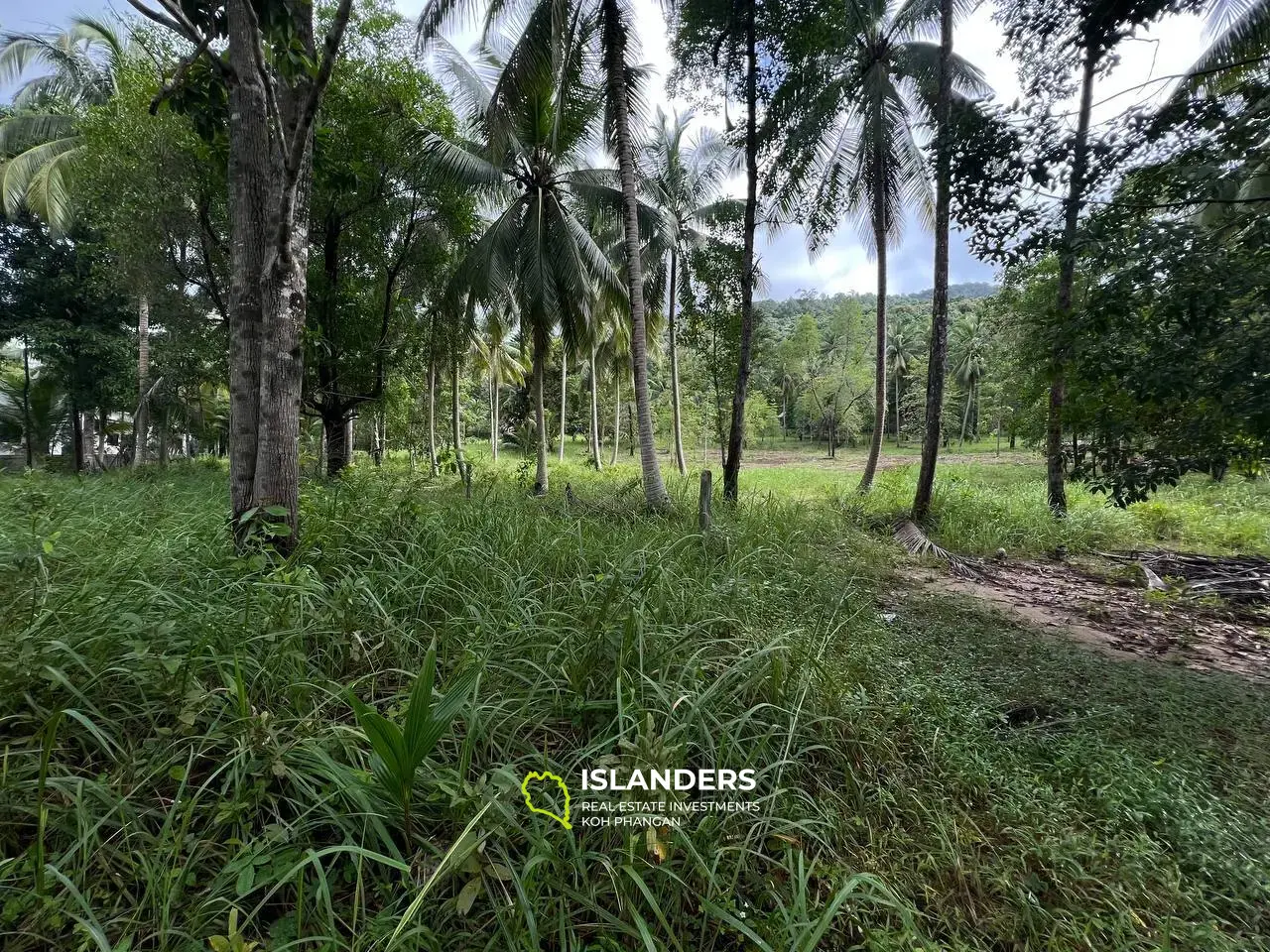 Perfect Plot in a Tranquil Area, Near the Temple