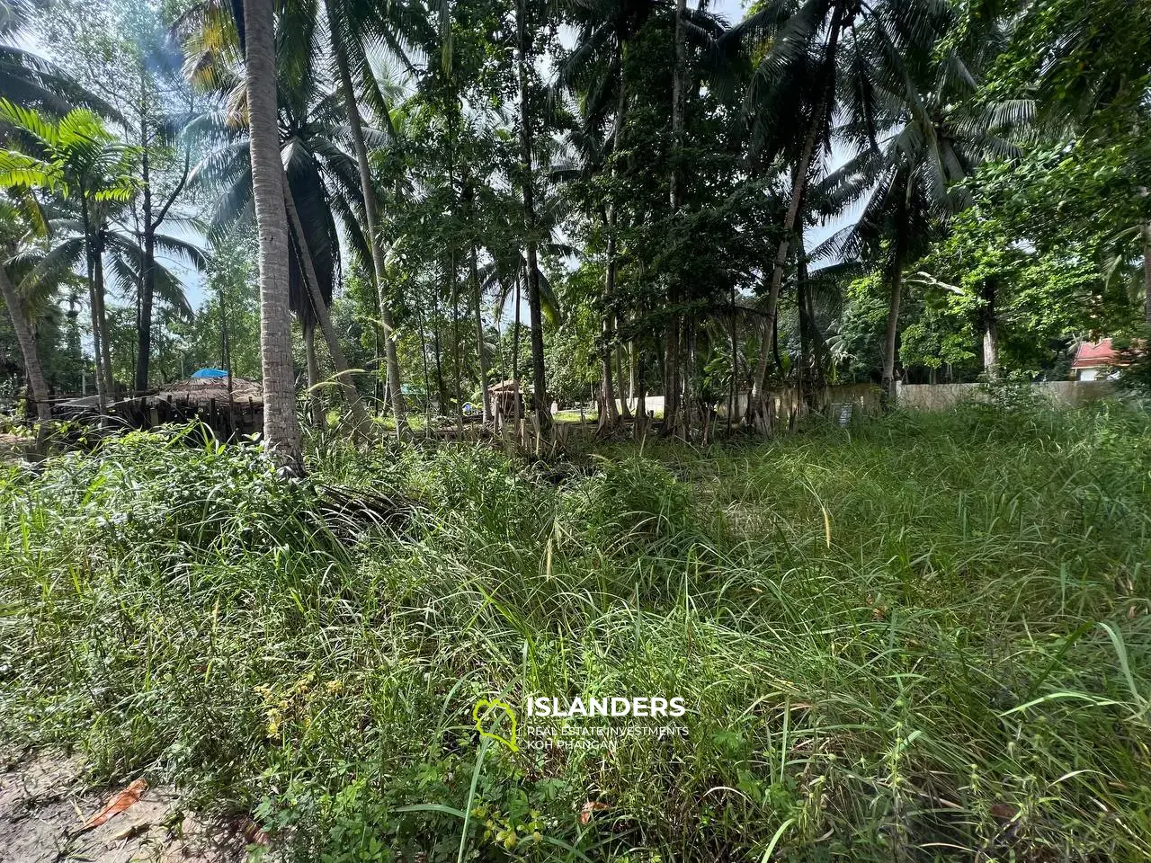 Terrain Parfait Dans un Quartier Tranquille, Près du Temple