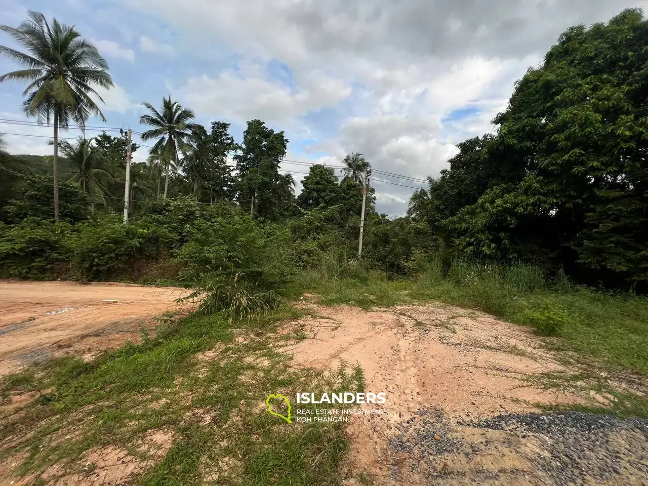 Jungle-View Land: Your Opportunity to Own a Slice of Paradise in Tong Sala!