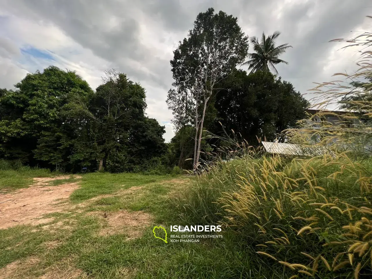 Jungle-View Land : votre opportunité de posséder un coin de paradis à Tong Sala !