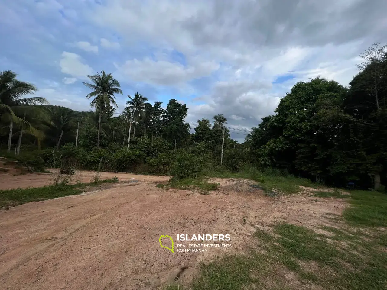 Jungle-View Land: Your Opportunity to Own a Slice of Paradise in Tong Sala!