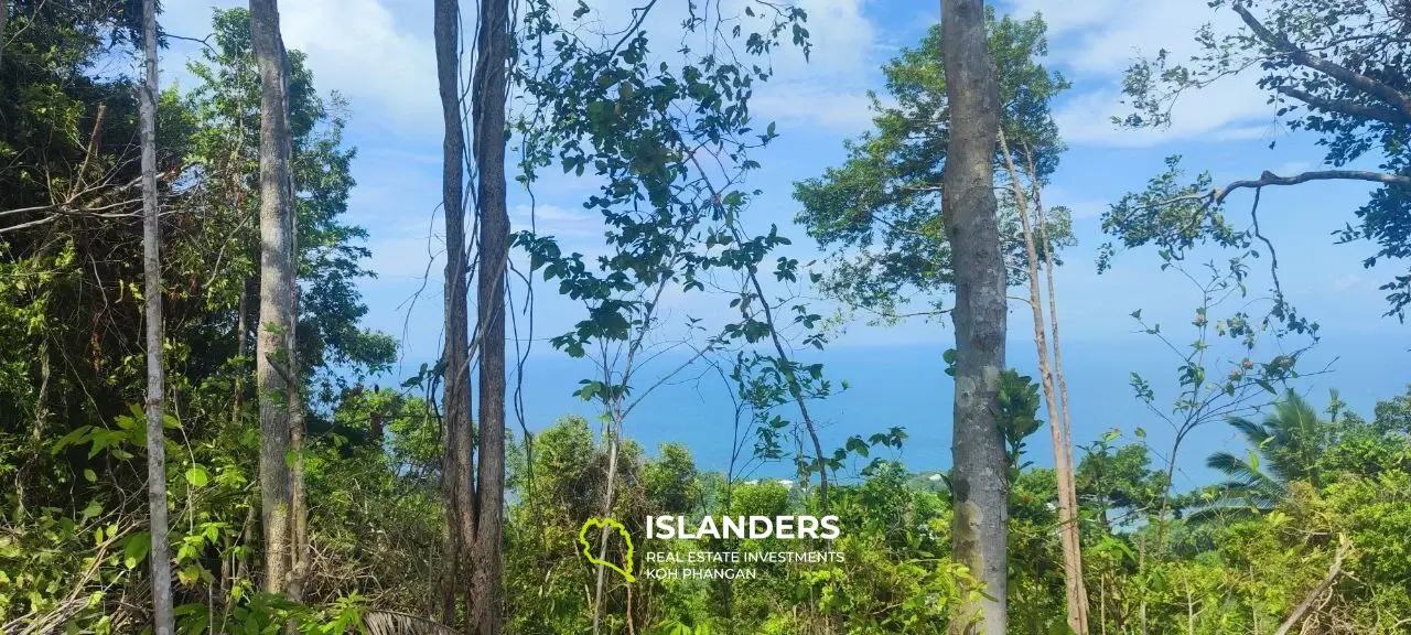 Grand terrain avec vue sur la mer au sommet des collines de Haad Yao