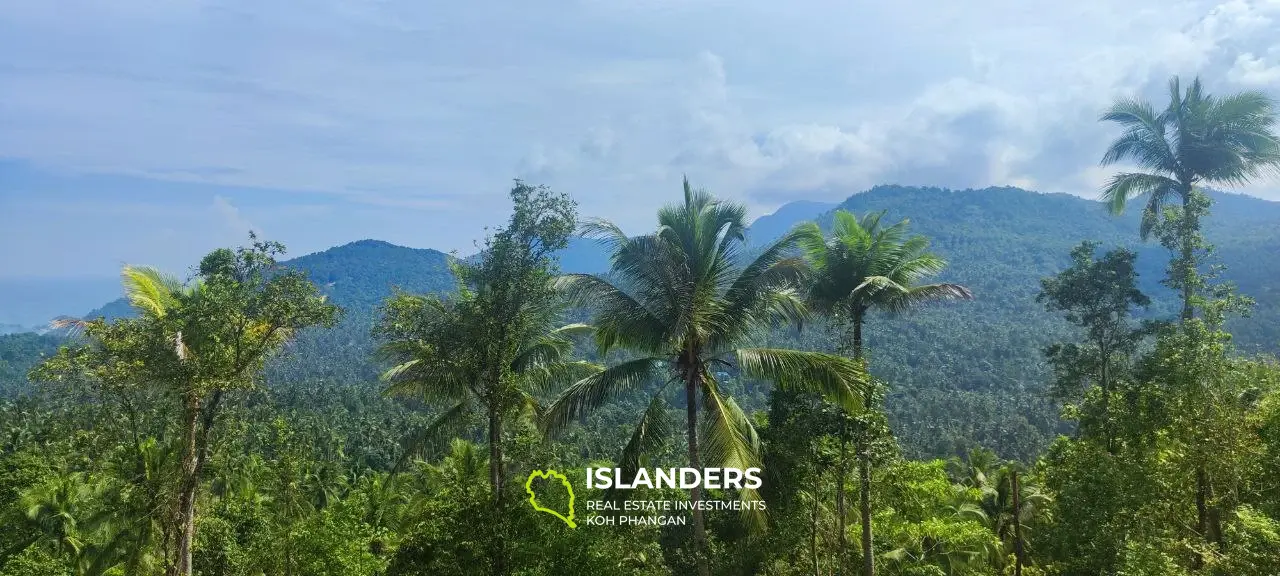 Grand terrain avec vue sur la mer au sommet des collines de Haad Yao