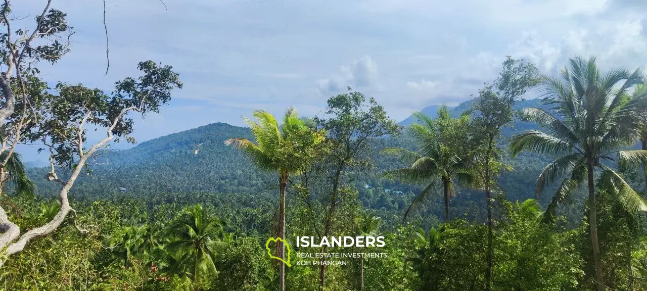 Grand terrain avec vue sur la mer au sommet des collines de Haad Yao