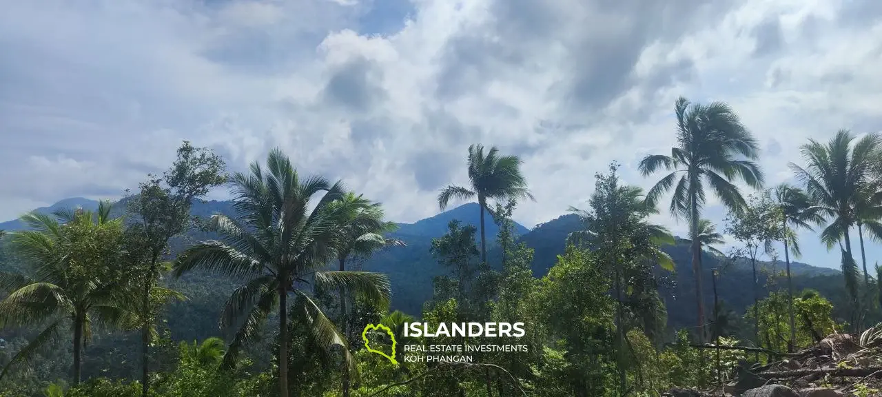 Grand terrain avec vue sur la mer au sommet des collines de Haad Yao