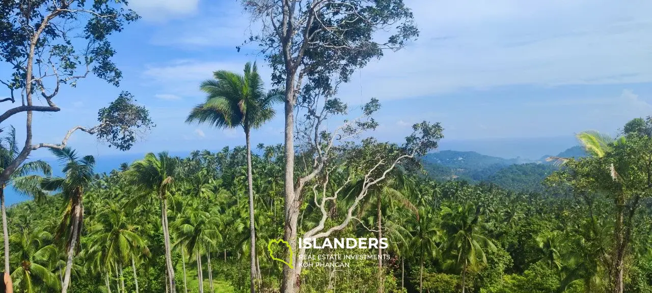 Grand terrain avec vue sur la mer au sommet des collines de Haad Yao