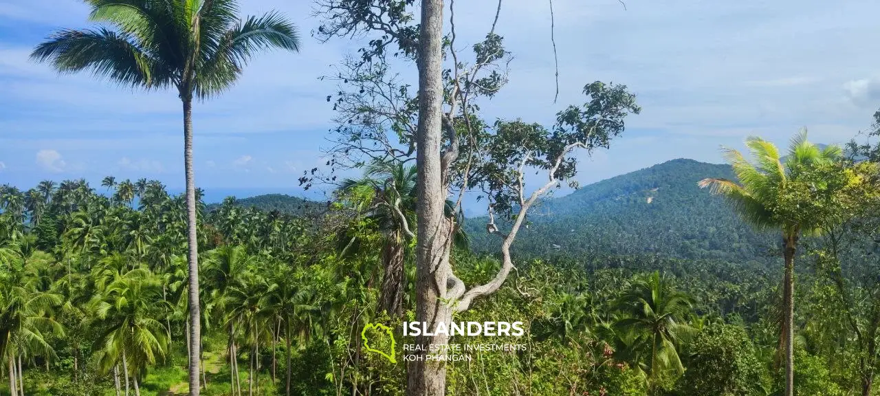 Grand terrain avec vue sur la mer au sommet des collines de Haad Yao