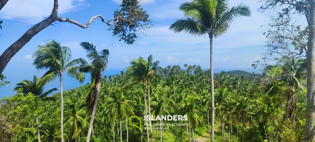 Grand terrain avec vue sur la mer au sommet des collines de Haad Yao