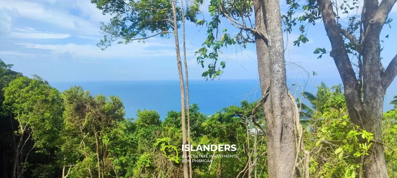 Grand terrain avec vue sur la mer au sommet des collines de Haad Yao