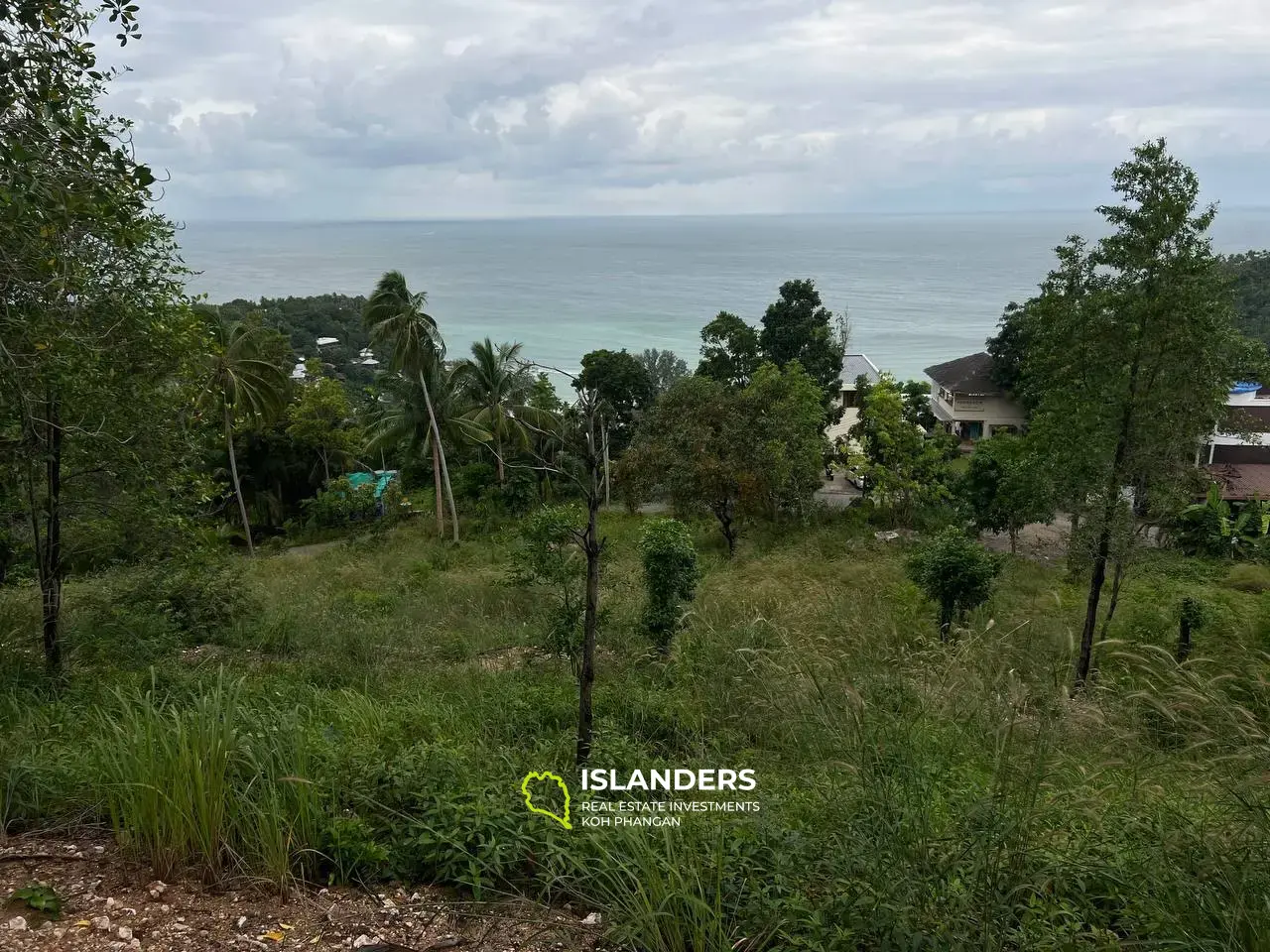 Seafront Sanctuary: Land auf Had Salad