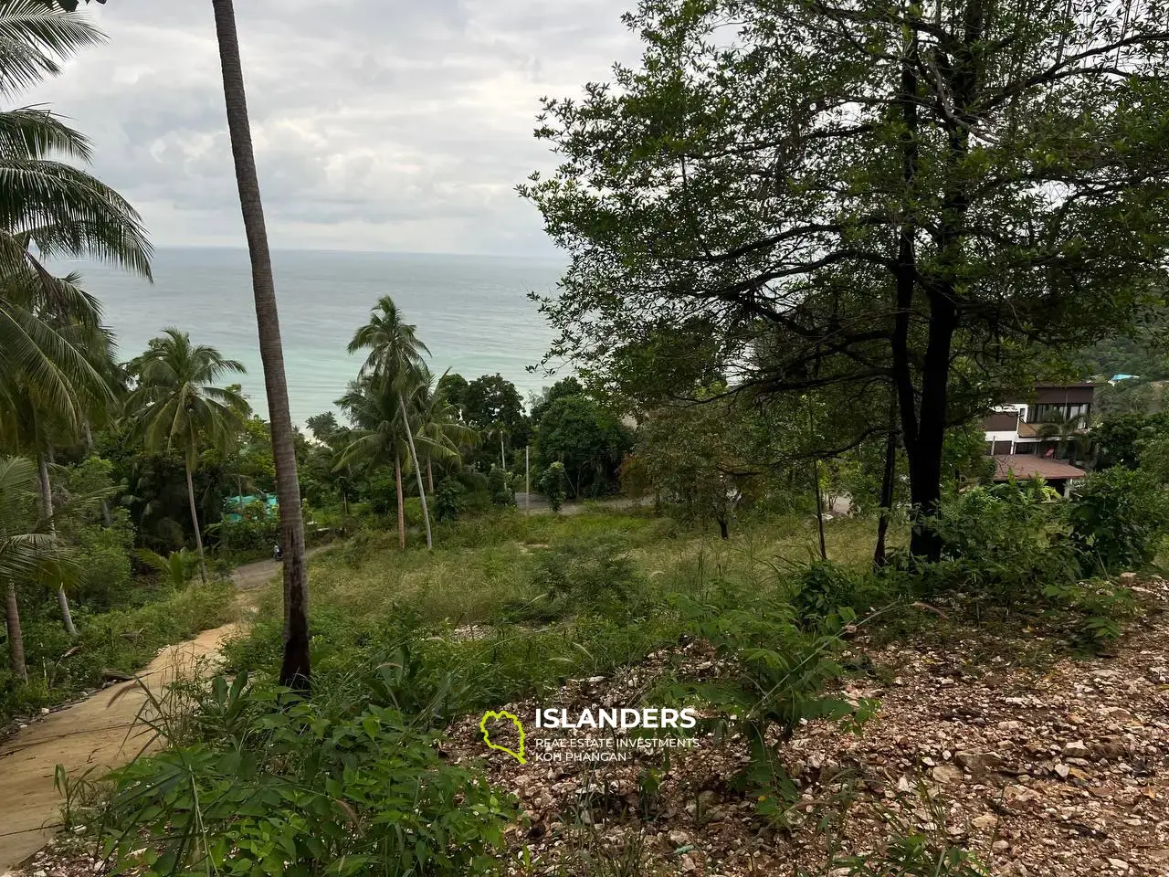 Seafront Sanctuary: Land on Had Salad