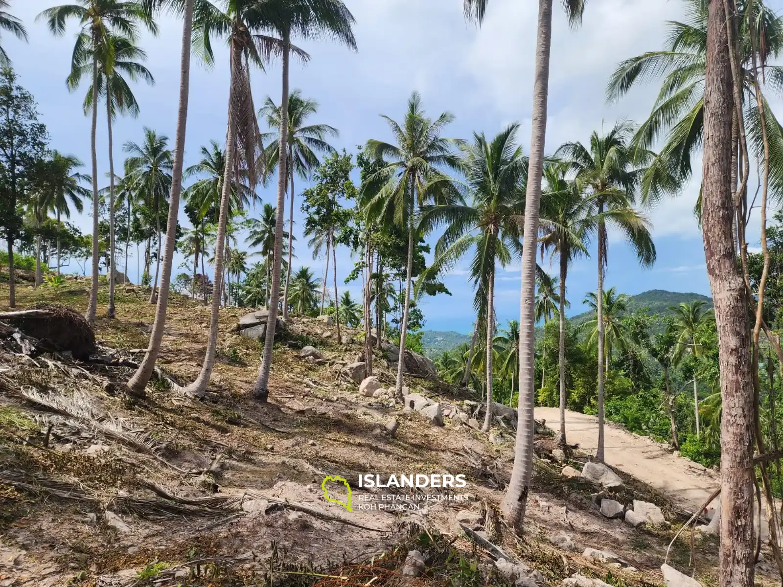 Superbe terrain avec vue sur la mer et la jungle à Haad Yao taille M4