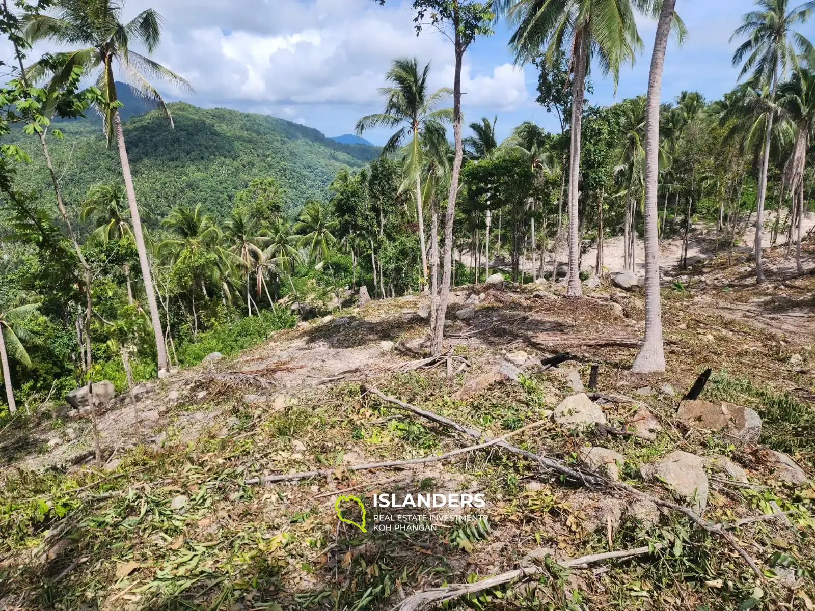 Superbe terrain avec vue sur la mer et la jungle à Haad Yao taille M4