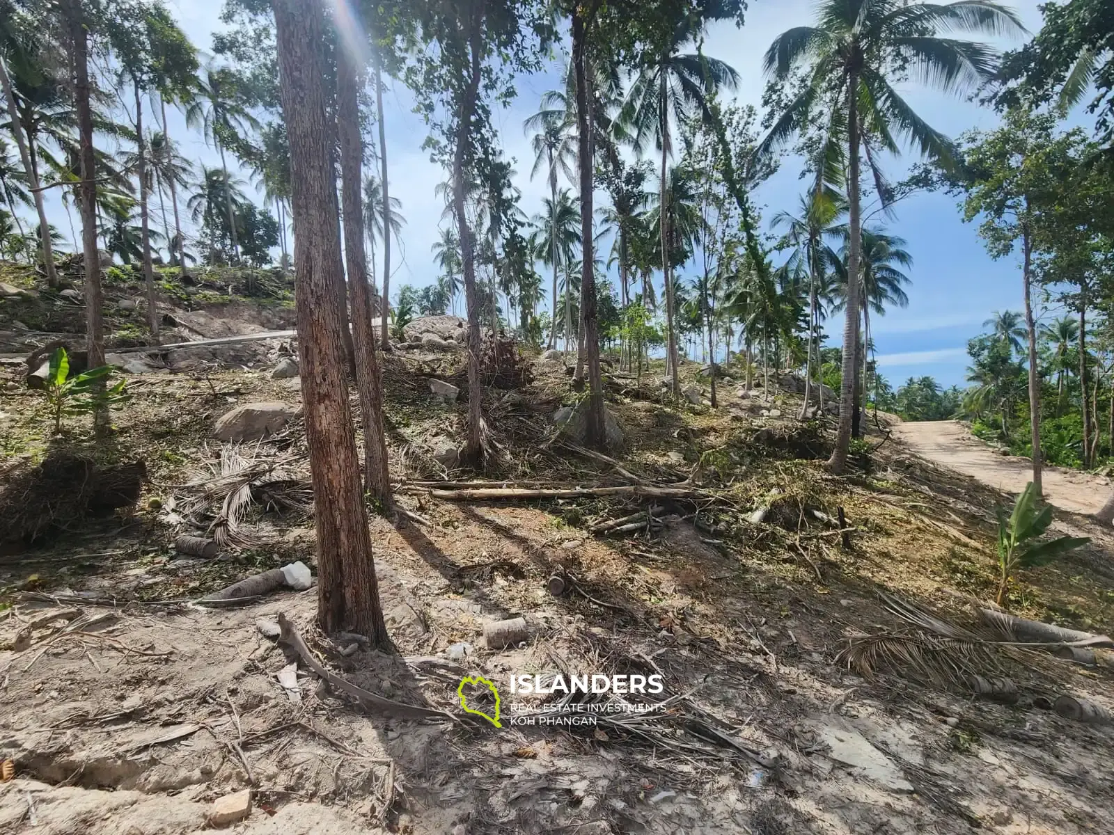 Superbe terrain avec vue sur la mer et la jungle à Haad Yao taille M4