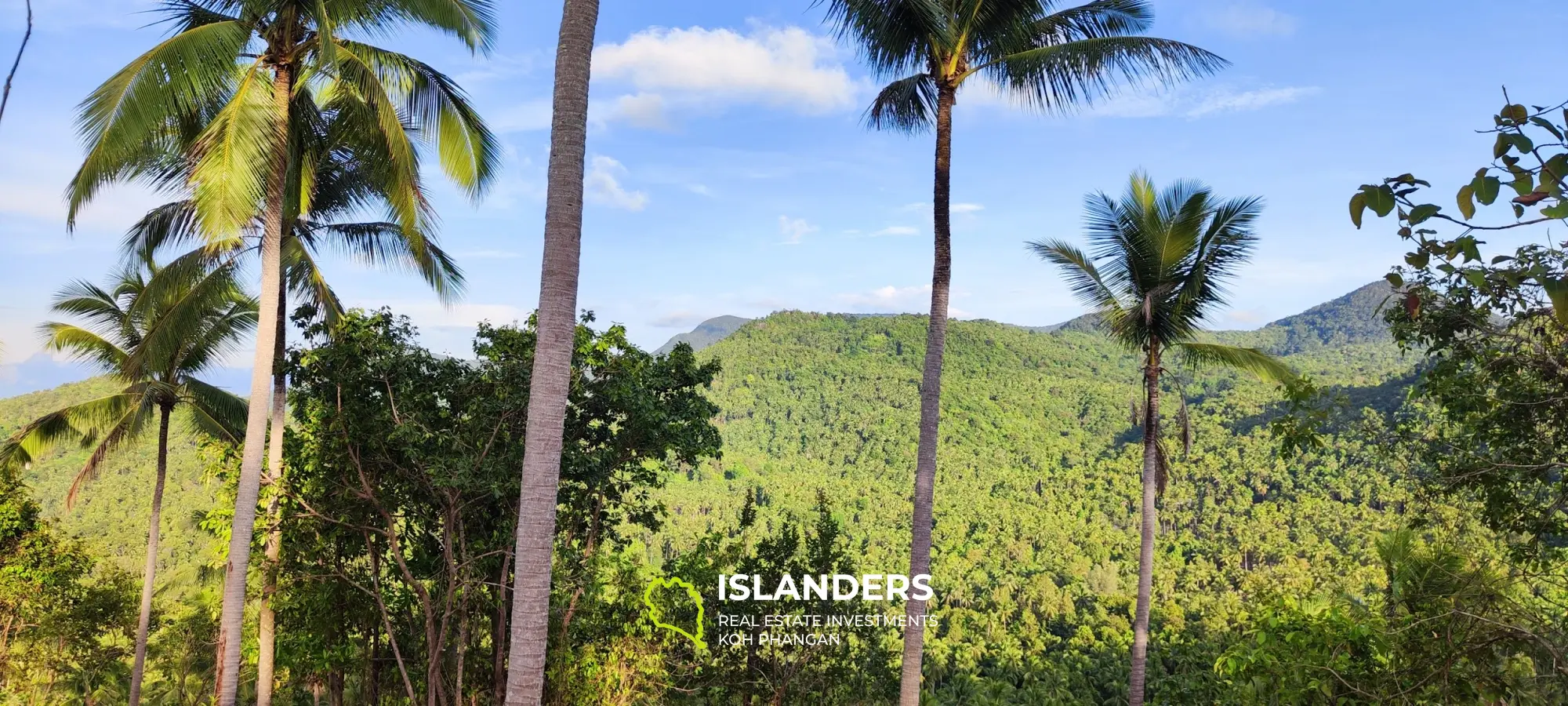 Superbe vue sur la mer et la jungle à Haad Yao