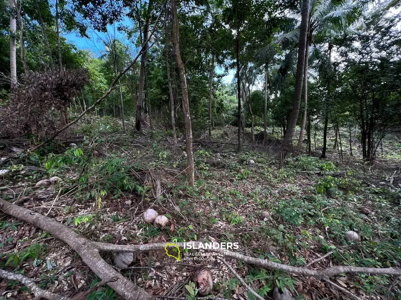 Ocean Vista Oasis: Plot with a View on Had Salad