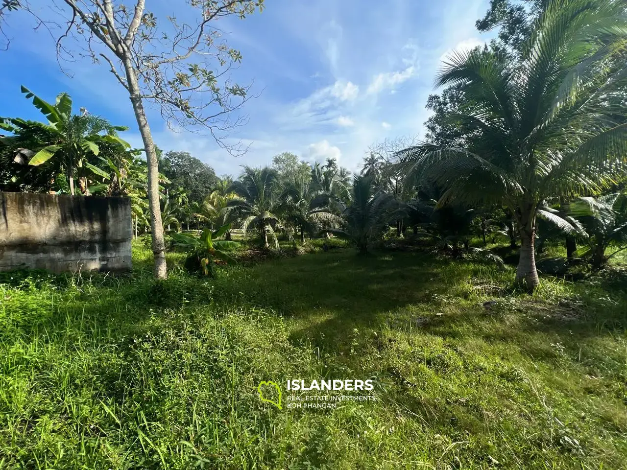 Maduwan Sanctuary: Land for Sale