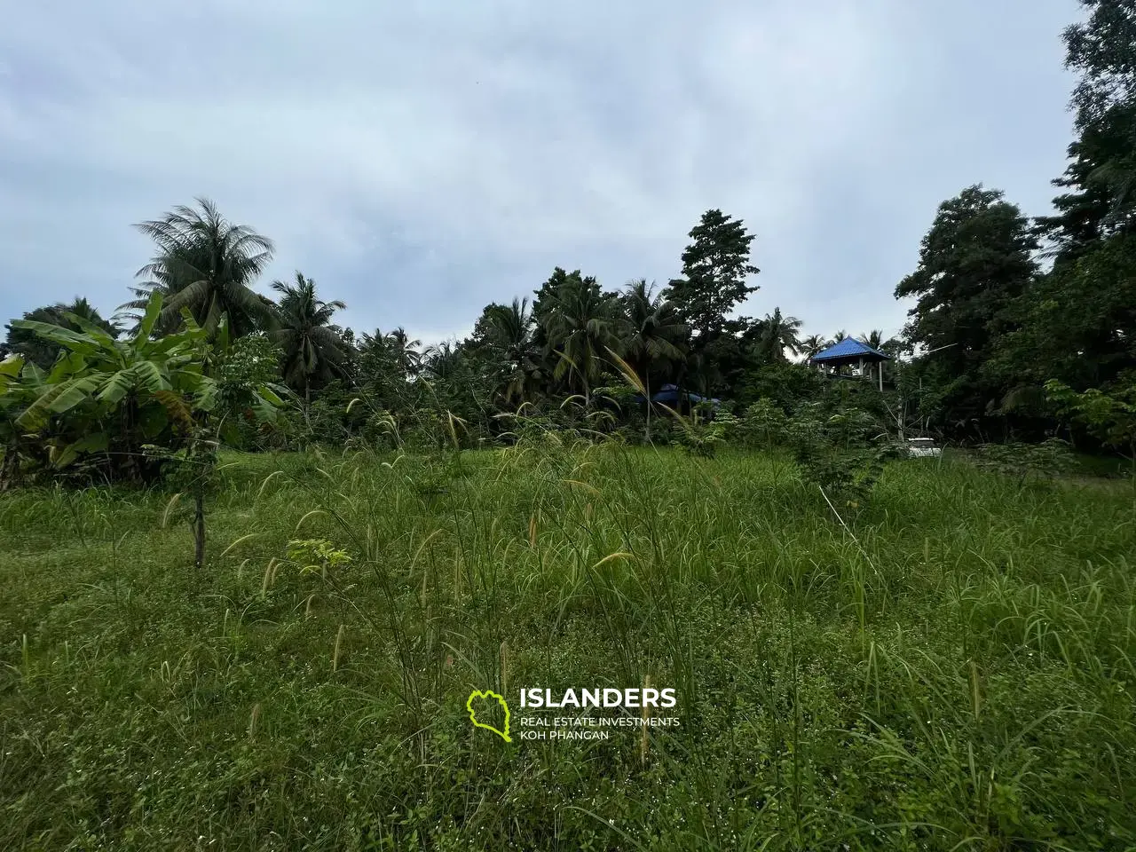 Mountain Views in Maduwan: Appealing Plots(Plot 1)