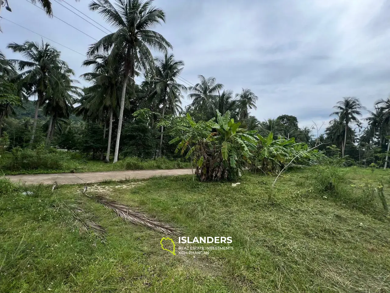 Mountain Views in Maduwan: Appealing Plots(Plot 1)