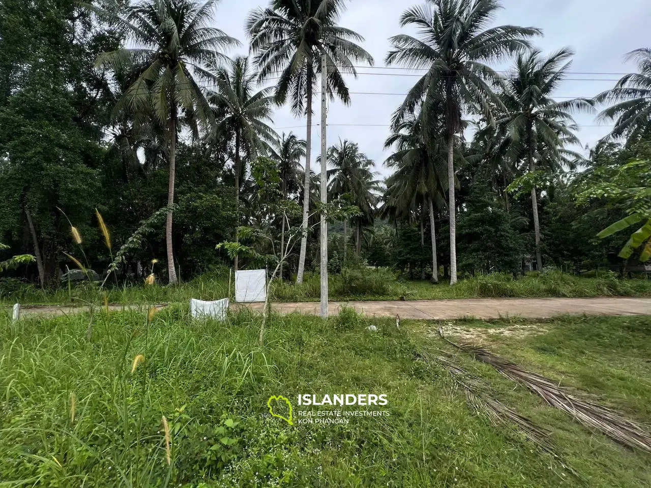 Mountain Views in Maduwan: Appealing Plots(Plot 1)