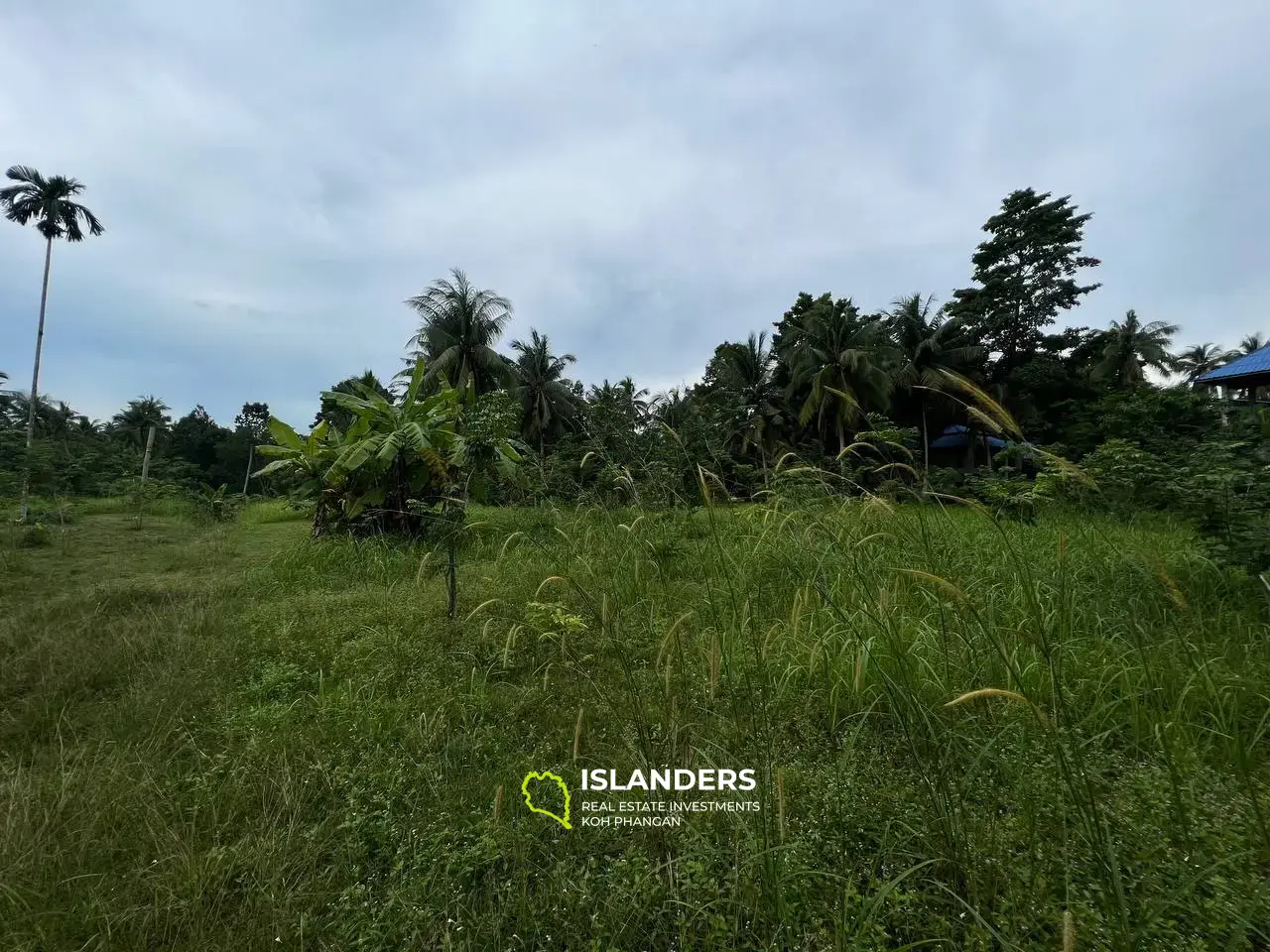 Mountain Views in Maduwan: Appealing Plots(Plot 1)